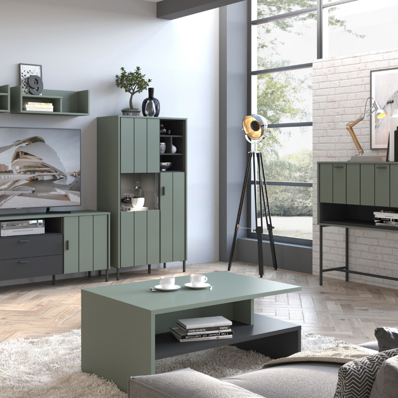 Arundel 2 Door Display Cabinet in Green/Grey - 4W616741