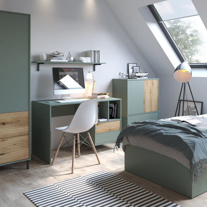 Darwin Sideboard 2 Door Green/Oak - 4W617243 4